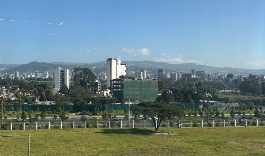addis-website.png